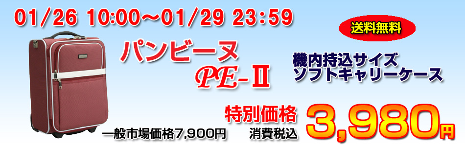パンビーヌ　ＰＥ２