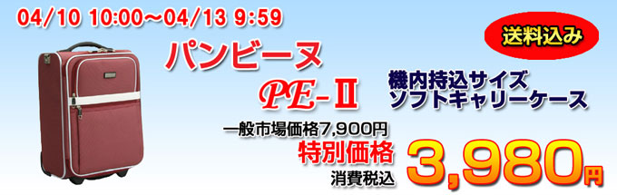パンビーヌ　ＰＥ２